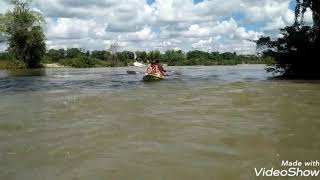 Dolphin kayaking adventures tour available for booking now please enjoy with local business contacts