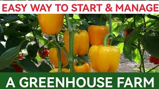 How To Start & Manage A Profitable Greenhouse Farm As A Beginner