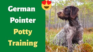 How to Potty Train Your German Shorthaired Pointer? | German Pointer Potty Training Tips |