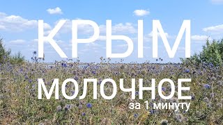 Молочное, Крым