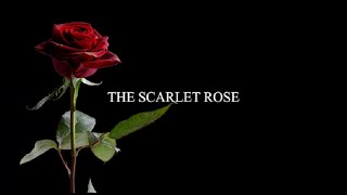 THE SCARLET ROSE