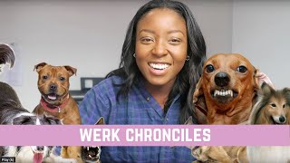 WERK CHRONICLES | Mwaksy