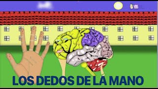 CUENTOS INFANTILES/LOS DEDOS DE LA MANO