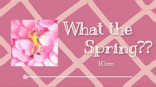 【日本語字幕/かなるび/歌詞】What The Spring??(봄이 좋냐??) - 10cm(십센치)