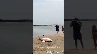 Shark Stranded on a beach #shorts #wildlife #shark #animalshorts #animals #rescueanimals #rescue