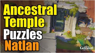 All puzzles from Ancestral Temple  | Genshin 5.0