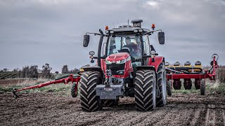 CZTERY CYLINDRY DAJA RADE? Massey Feguson 6716S Vaderstad Tempo V12 - Usługi Siewu Marek Klajn