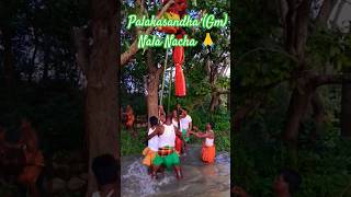 Palakasandha (gm) 2024 // Nala Nacha 🙏 Ganda re Puja 🙏