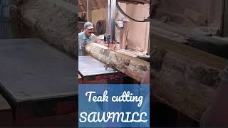 wood turning into planks #sawmill #cutting #india #shorts #teakwood #precious #dangerous