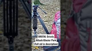 Brutal Grizzly Bear Attack at Glacier Park (True Story)