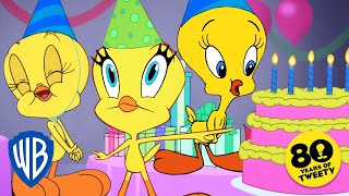 Looney Tunes | Happy Birthday Tweety!💛🎂 | @WB Kids