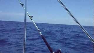 Fishing Offshore Stuart Fl 2