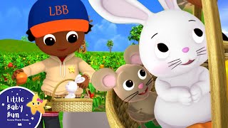 Peter Piper | Classic Nursery Rhymes and Kids Songs | Little Baby Bum | Animal for Kids