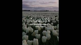 وَٱتَّقُوا۟ یَوۡمࣰا لَّا تَجۡزِی نَفۡسٌ عَن نَّفۡسࣲ شَیۡـࣰٔا ..)✨ منصور السالمي 😢🤍