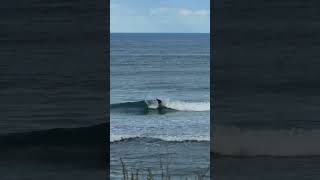 Small waves are better than no waves I guess #surfing