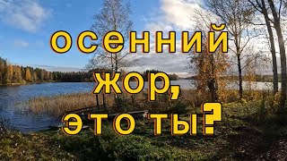 Рыбалка на лодке осенью, середина октября. Это и есть осенний жор ?