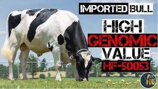 IMPORTED BULL | High Genomic Value |HF-50053 | Pedigree, Production, Health, Linear Traits & Progeny