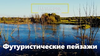 Футуристические пейзажи. На высоте. Flooded dead trees in the forest. Abandoned lake