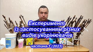 Експеримент із застосуванням різних видів укорінювачів ч-1