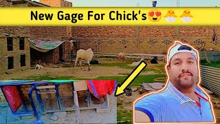 New Gage For Chicks😍🐣|how to make cage for chicks🐔|#Taimoorofficialvlogs|#minizoo