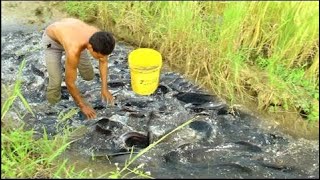 wow Amazing lovely Girl Fishing - Cambodia Traditional fishing - How to Catches Fish (Part 122)