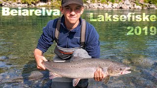 Salmon fishing in Northern Norway | Artic Circle | Laksefiske Beiarelva | August 2019