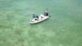 Casting At Florida Keys Sharks