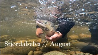 Atlantic Salmon Fishing in Stjørdalselva // August