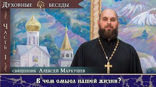 В чём смысл нашей жизни?