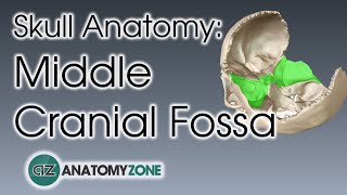 Middle Cranial Fossa | Skull Anatomy