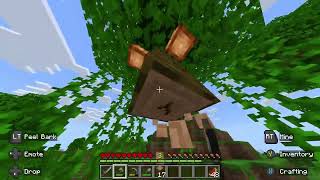 Minecraft part 10