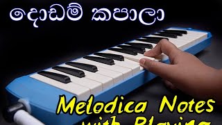 Dodam Kapala Notation - Olinda Keliya- Music Sir සංගීත සර්- Melodica Music Sinhala