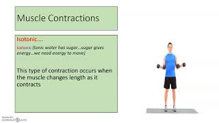 Muscles in Action GCSE PE