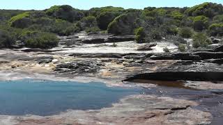 The 'Walk in the Park' Royal National Park Tour - Coast Track 3