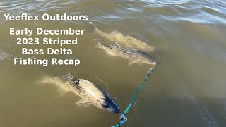 Early December STRIPED BASS Delta 2023 Fishing Recap [Yeeflex Outdoors]