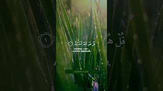 Сура Аль-Ихлас | КРАСИВОЕ ЧТЕНИЕ КОРАНА | Чтец: Мухаммад Тарик` | #quran #islam