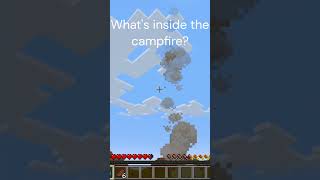 What's inside the campfire?  #minecraft #meme #memecraft