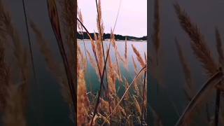 fall  picnic on the lake. behind the scenes #fall #picnic #picnicspot #autumn