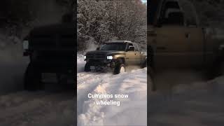 Cummins snow wheeling