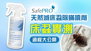 【實測】一噴即KO床蝨臭蟲！SafePRO® 天然滅床蝨、跳蚤及塵蟎洗衣液及噴劑 SafePRO® Natural Bed Bug, Flea & Dust Mite Laundry & Spray