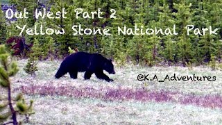 Travel Vlog | Yellow Stone National Park | Out West Part 2