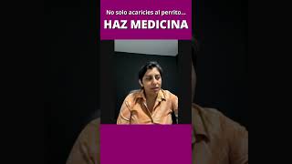 No solo acaricies al perrito, haz medicina.