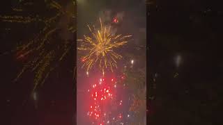 Fireworks #diwali #fireworks #crackers #shortvideos #reels #trending #viralvideos #viralshorts