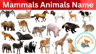 Mammals Animals Name