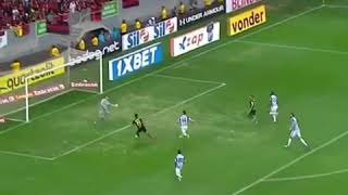 GOLAÇO DE REINIER VS. AVAI  - FLAMENGO 3x0 AVAI