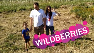 Больше не работаем с Wildberries