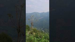 #kurseong Mahanadi #darjeeling  #viral  Darjeeling Lover