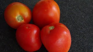 Tips de tomate Recetas Cocina Peruana