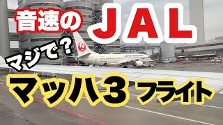 JAL機でマッハ３を体験！  セントレアから羽田までをわずか4分45秒で移動してみた！ 【IBA飛行機】