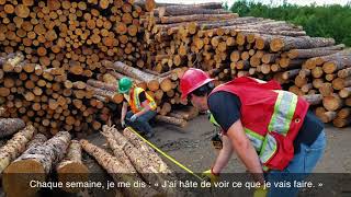 Pas de journées tranquilles quand on travaille dans la forêt pour un avenir durable!